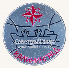 АВЕРС: Знак «Город Калининград» № 8519б