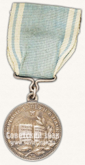 Медаль «Пробная медаль Наркомпроса РСФСР «За отличные успехи в науках»»