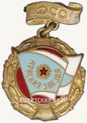 Знак «Членский знак ДСО «Красная звезда». Тип 2»