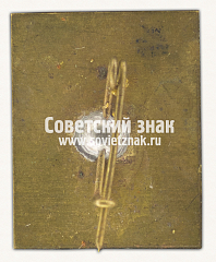РЕВЕРС: Знак «Украинские Карпаты. Горная система» № 15316а