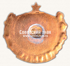 РЕВЕРС: Знак «Чемпион LVFKI (Латвийский институт физической культуры)» № 13968а