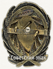 РЕВЕРС: Знак «Отличительный знак командного состава РКМ РСФСР» № 9729а
