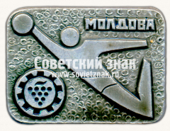 Знак «ДСО «Молдова». Серия знаков «Спортивные общества СССР»»