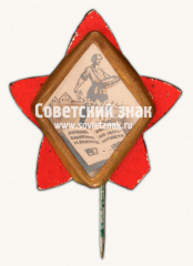 АВЕРС: Знак «﻿Долой неграмотность» № 17767а