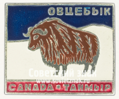 Знак «Таймыр. Овцебык. Canada»
