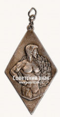 АВЕРС: ﻿Наградной жетон первенства по боксу № 17805а