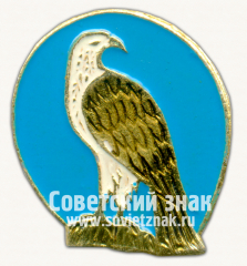 АВЕРС: Знак с изображением орла № 9911б