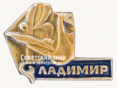 Знак «Город Владимир. тип 19»