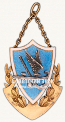 АВЕРС: ﻿Жетон хоккейного кубка «Красной газеты» № 17794а