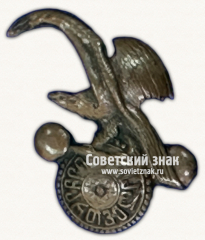 АВЕРС: Нагрудный знак гимнастического общества Шевардени № 17724а