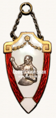 АВЕРС: ﻿Жетон первенства «Красной Звезды» по боксу № 17720а