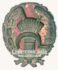 Знак военнослужащего продовольственно-ревизионным отрядам РККА. Тип 2