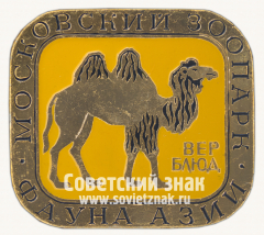 Знак «Верблюд. Серия знаков «Московский зоопарк фауна Азии»»