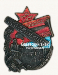 АВЕРС: Знак «ОСОАВИАХИМ Туркменской ССР» № 230в