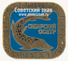 Знак «Сибирский осётр. Серия знаков «Московский зоопарк фауна Азии»»