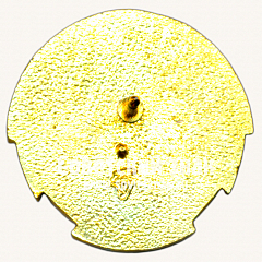 РЕВЕРС: Знак «﻿Мосметрострой. 1931-2001» № 17484а