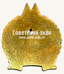 РЕВЕРС: Знак «25 лет электродепо «Печатники»» № 17465а