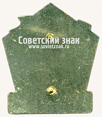 РЕВЕРС: Знак «Общественный инспектор по безопасности движения. Московский метрополитен» № 17535а