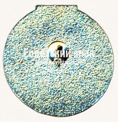 РЕВЕРС: Знак «﻿10 юбилейный турнир «Территория метро». ЭМС (Электромеханическая служба). 2014» № 17477а