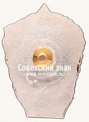 РЕВЕРС: Знак «Ударнику Цесисской трудовой колонии несовершеннолетних» № 16902а