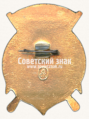 РЕВЕРС: Знак «Первенство Военно-морских учебных заведений (ВМУЗ). III место. Шахматы» № 16997а