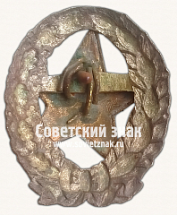 РЕВЕРС: Знак командира Рабоче-крестьянской Красной Армии. Тип 26 № 17143а