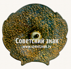 РЕВЕРС: Знак «70 лет метрополитена им. Ленина» № 17457а