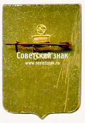 РЕВЕРС: Знак «Город Солигалич. Костромская губерния» № 17244а