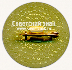 РЕВЕРС: Знак «Международная выставка «Автоматизация-89». СССР» № 16414а