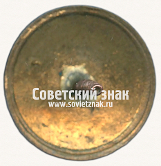 РЕВЕРС: Знак «Коллегия судей по спорту. III категория» № 16914г