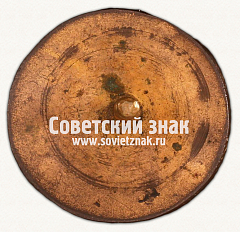 РЕВЕРС: ﻿Нагрудный знак Детской социальной инспекции (ДСИ) Володарского района Ленинграда № 17769а