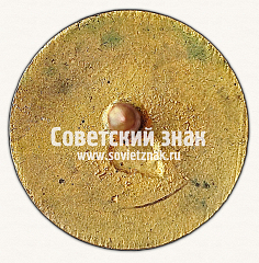 РЕВЕРС: Знак «Коллегия судей по спорту. I категория» № 16916б