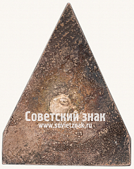 РЕВЕРС: Должностной знак «Котельный». КГЭС № 16910а