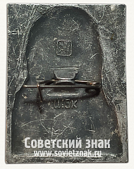 РЕВЕРС: Знак с изображением А.Н.Островского. Тип 2 № 16223а