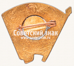РЕВЕРС: Знак «Всесоюзный Ленинский Коммунистический Союз Молодёжи (ВЛКСМ)» № 16893а