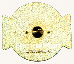 РЕВЕРС: Знак «﻿Мосметрострой. Румянцево. Саларьево. 2015» № 17479а