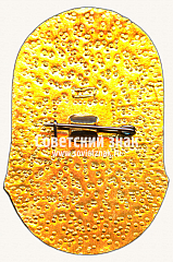 РЕВЕРС: Знак «Судья. Федерация пожарно-прикладного спорта. Ростов-на-Дону» № 16956а