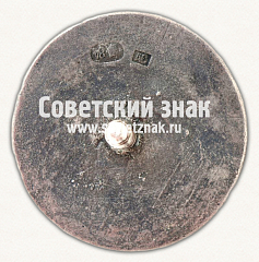 РЕВЕРС: ﻿Знак квалификационный по стрельбе. СССР. 1927 № 17847а