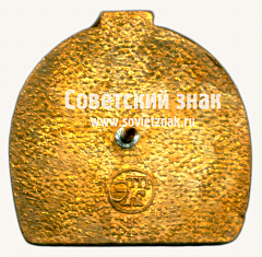 РЕВЕРС: Знак «5 лет электродепо «Печатники». 1995-2000» № 17470а